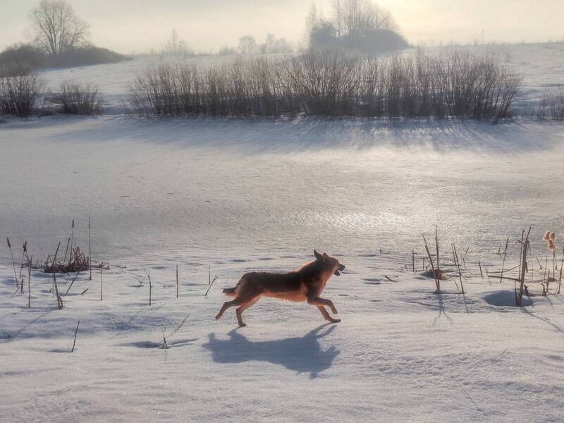 фото превью