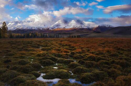 Курайский хребет