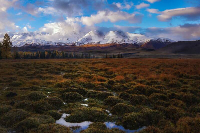 алтай, осень, горы, рассвет, утро, вершины, снег, облака Курайский хребет фото превью