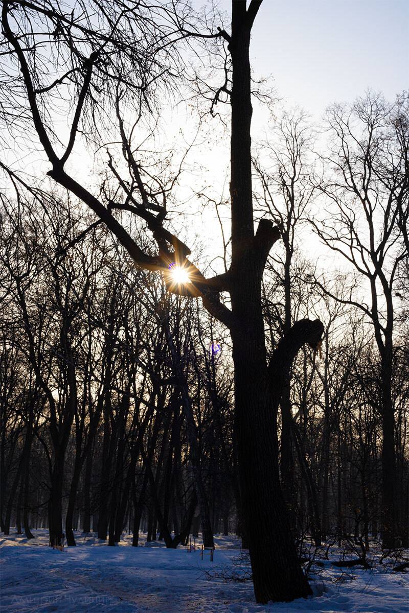 , Чудинин Дмитрий