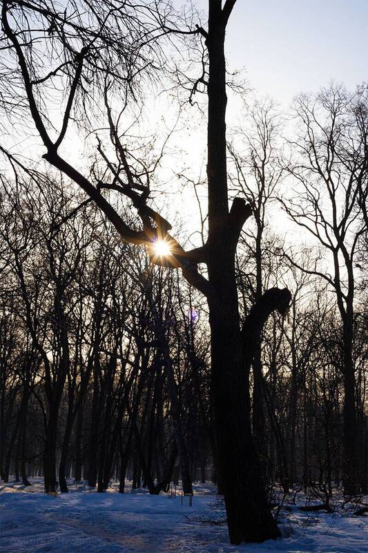 Лучик солнца фото превью