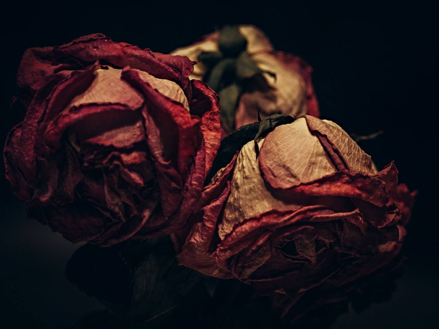 , Сергей Белокуров