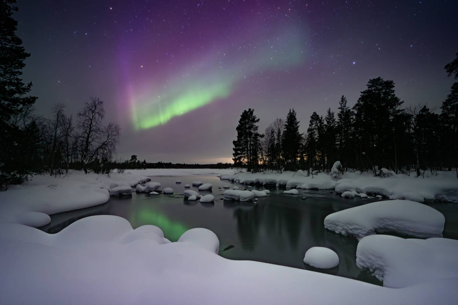 , Васильева Дарья