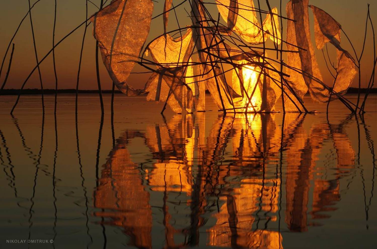 Инсталляция, Музыка, Пейзаж, николай дмитрук