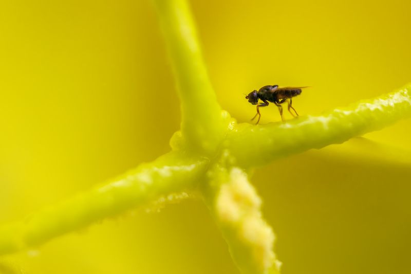 Дон Кихот фото превью