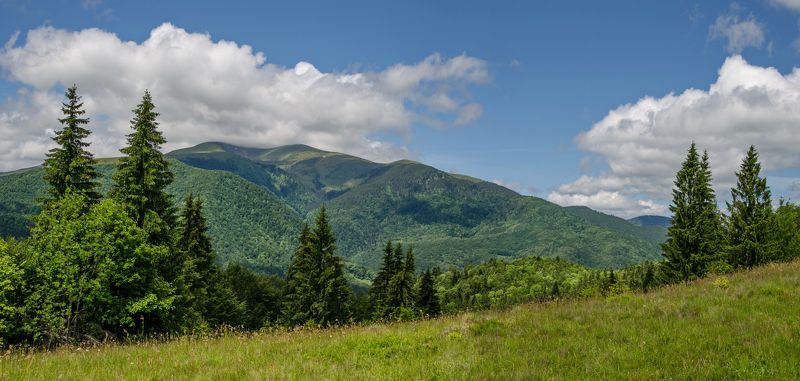 Закарпатье, Июнь, Квасы, Ясиня Закарпатье фото превью