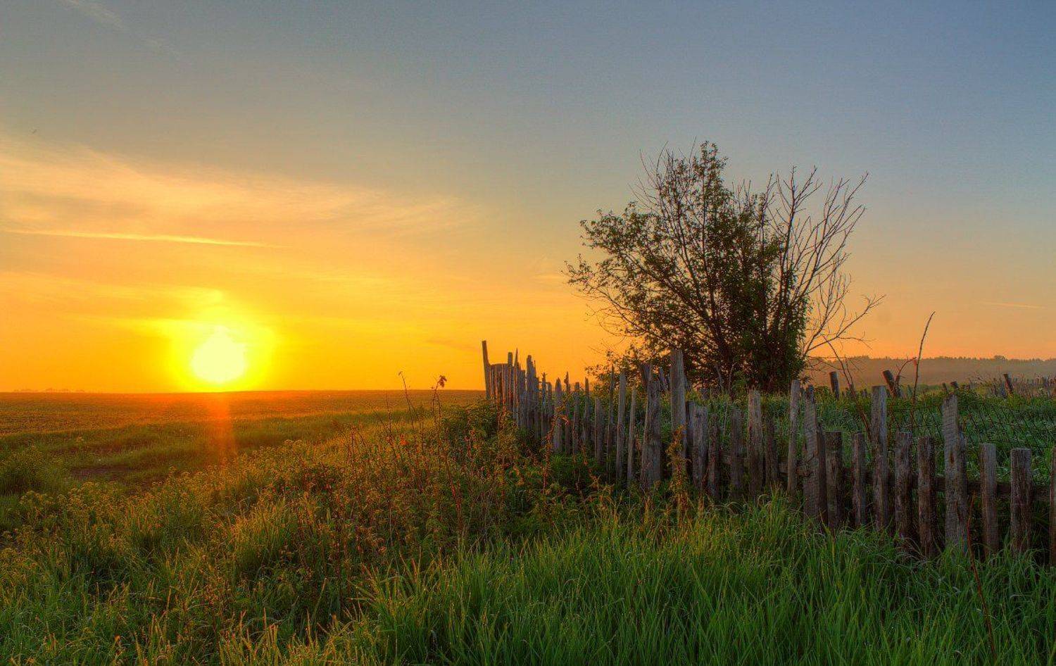 забор, лето, небо, облака, пейзаж, природа, рассвет, свет, солнце, трава, Артём Колупахин