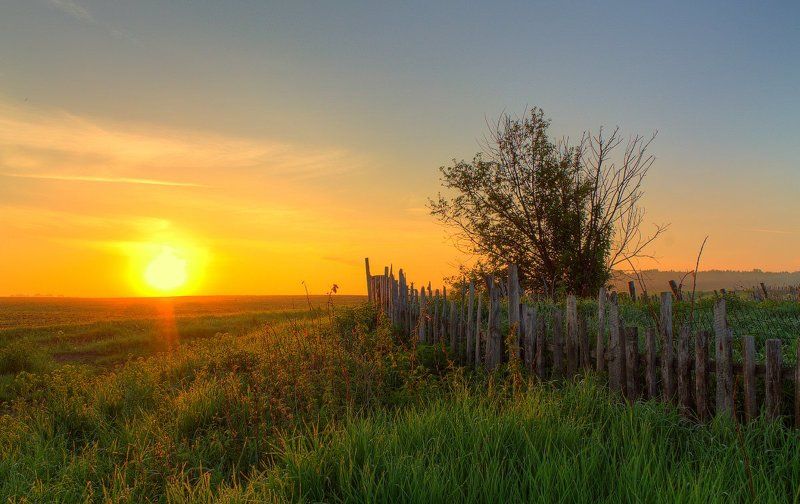 забор, лето, небо, облака, пейзаж, природа, рассвет, свет, солнце, трава Июньский рассвет фото превью