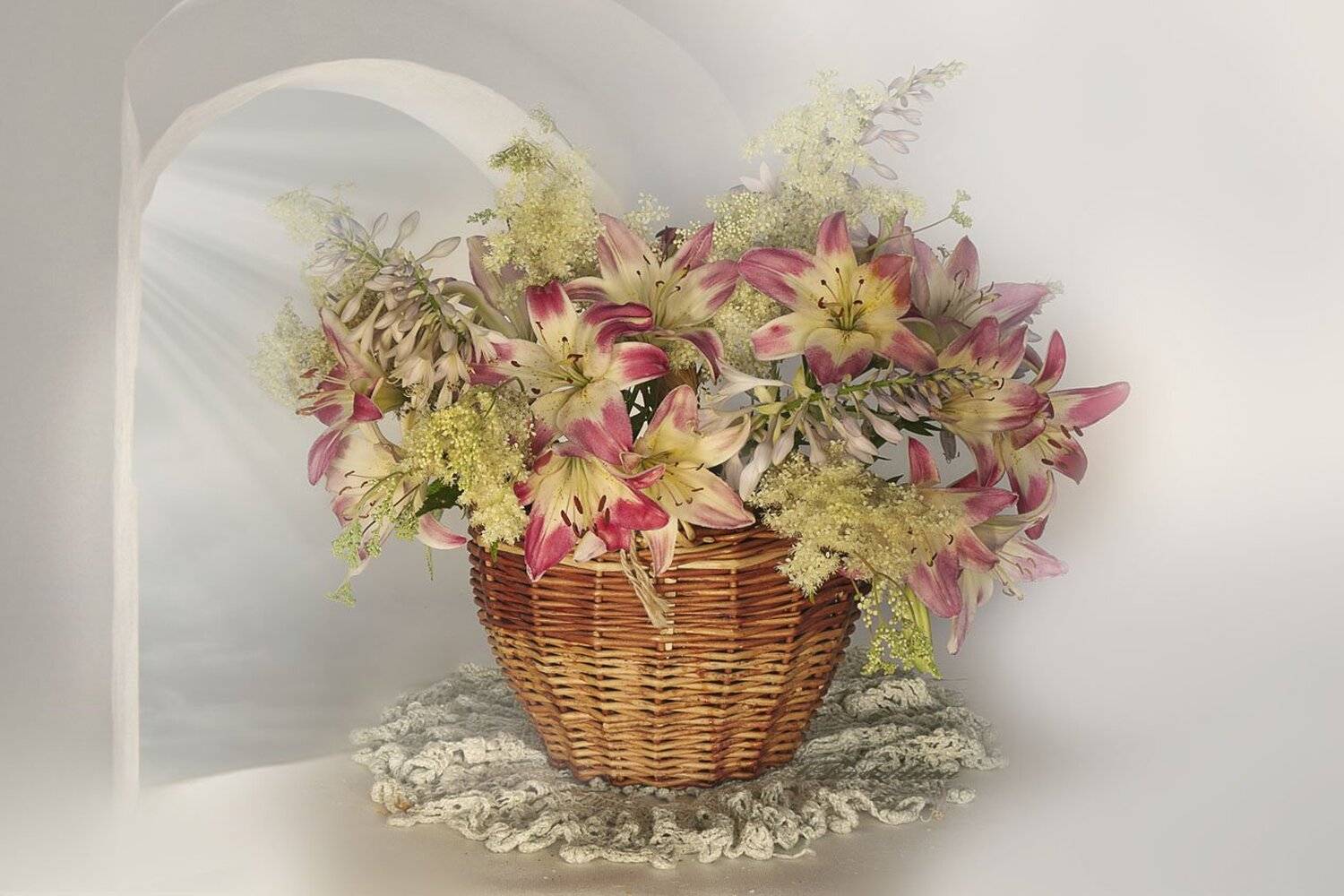 Лилии, Лукошко, Натюрморт с цветами, Утро, Вера Павлухина