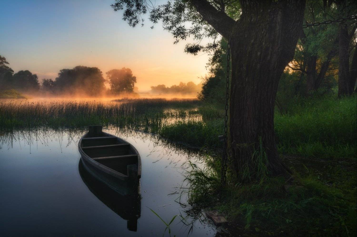 Дерево, Лодка, Лодки, Пейзаж, Пейзажнаясъемка, Пейзажное фото, Рассвет, Река Угра, Свет, Солнце, Туман, Угра, Утро, Жмак Евгений