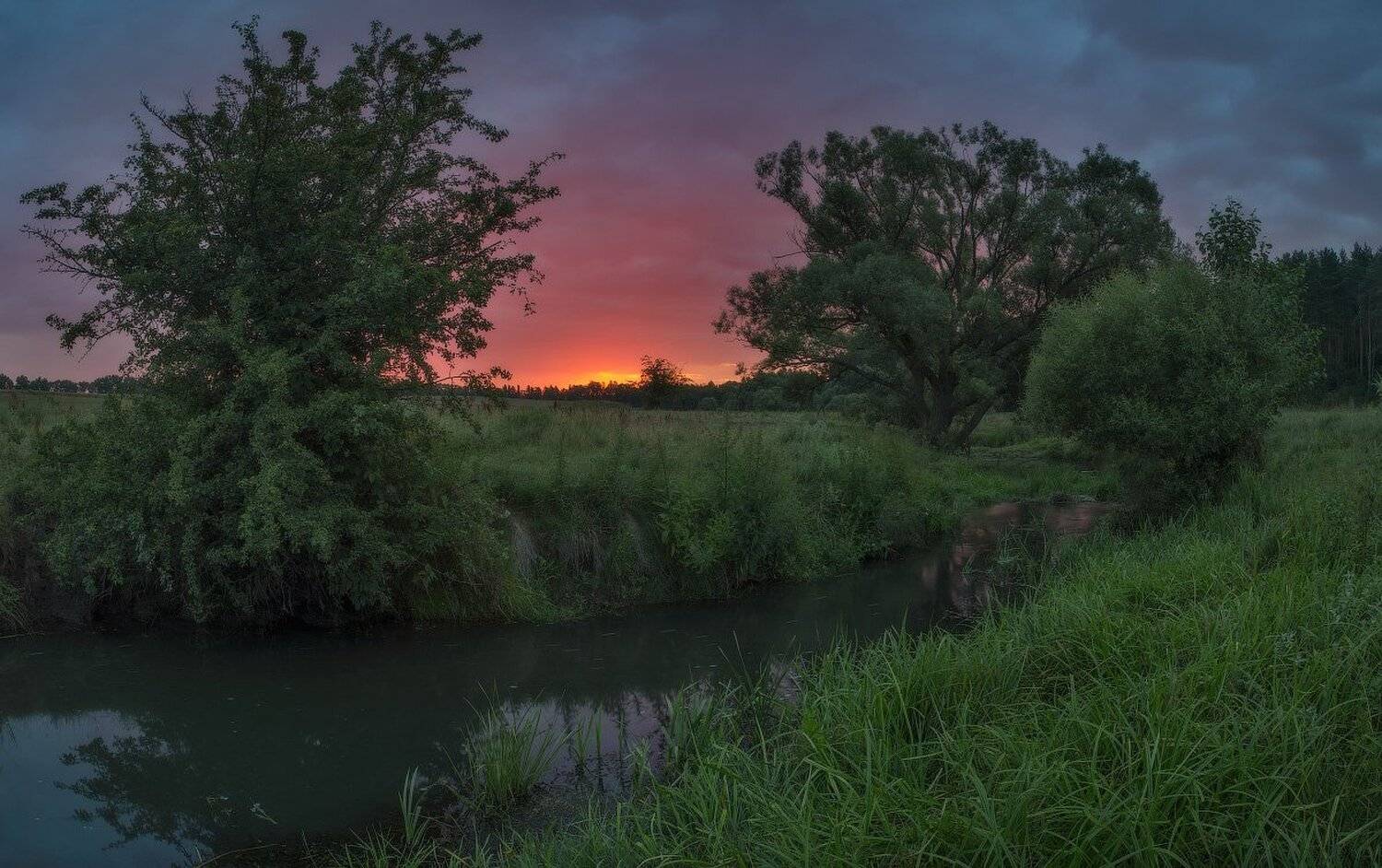 Дерево, Заря, Лето, Ручей, Трава, Утро, Сергей Добровольский