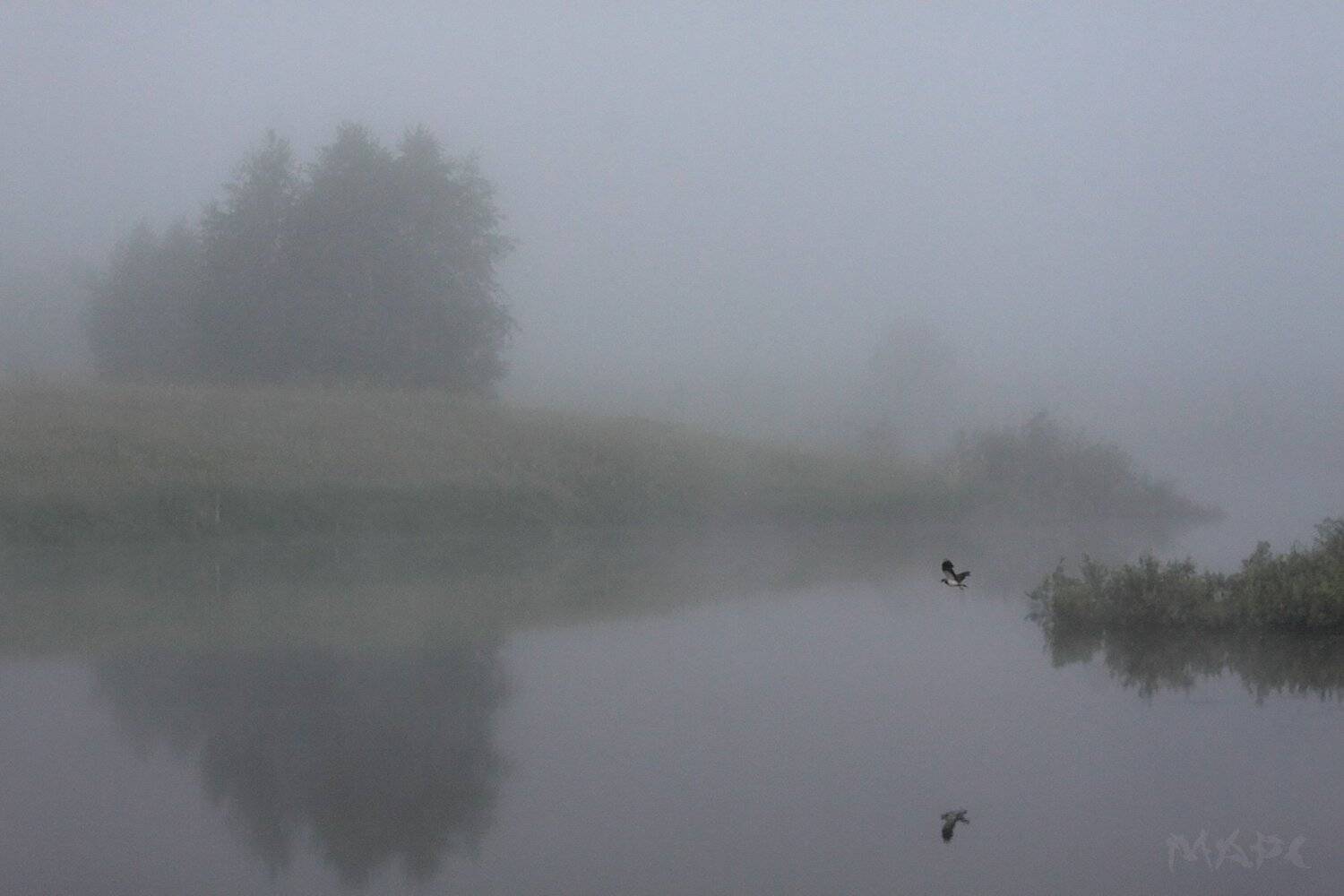 , Шангареев Марс