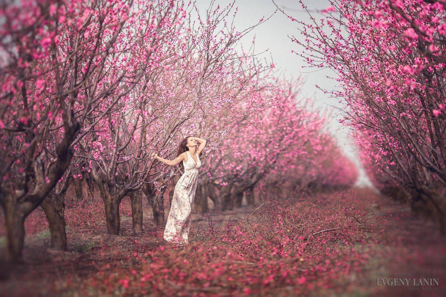 , Евгений Ланин