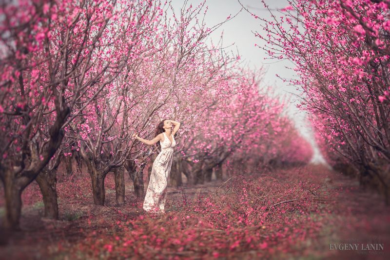 В весеннем саду фото превью