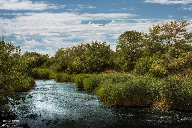 На мелководье фото превью