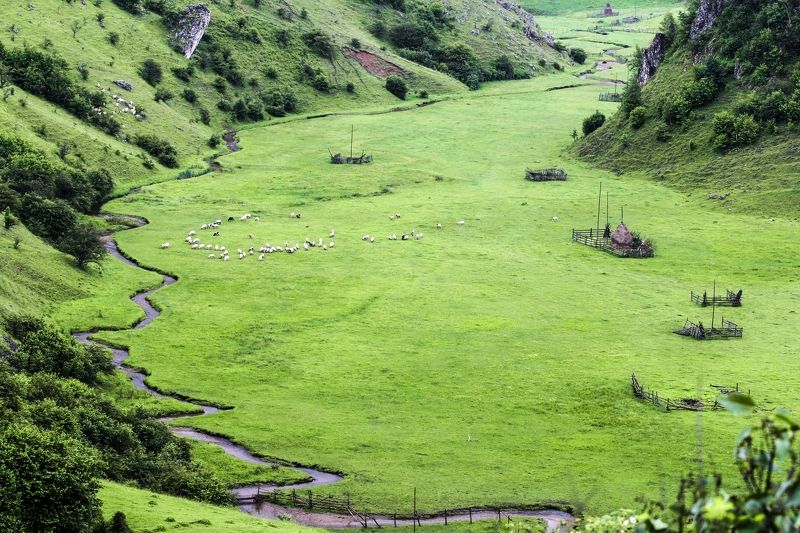 river,water,nature,colors,animals,sheeps,old The river фото превью