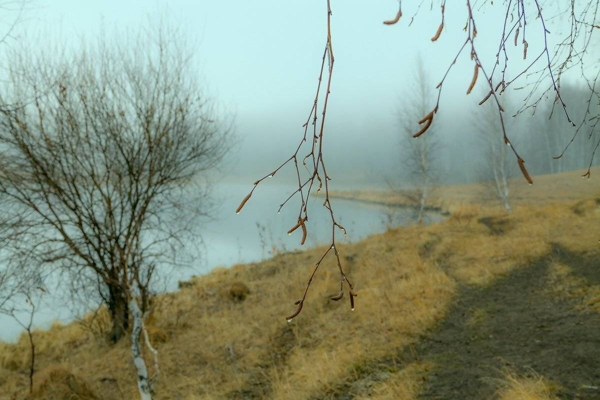 , Николай Морский