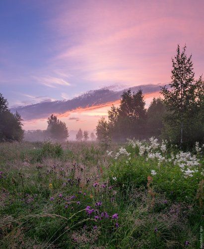 Летнее утро