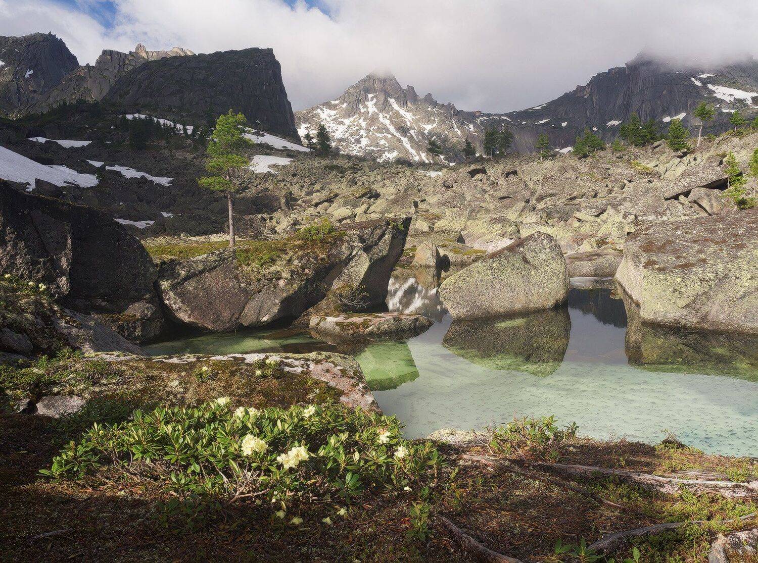 , Лещёнок Александр