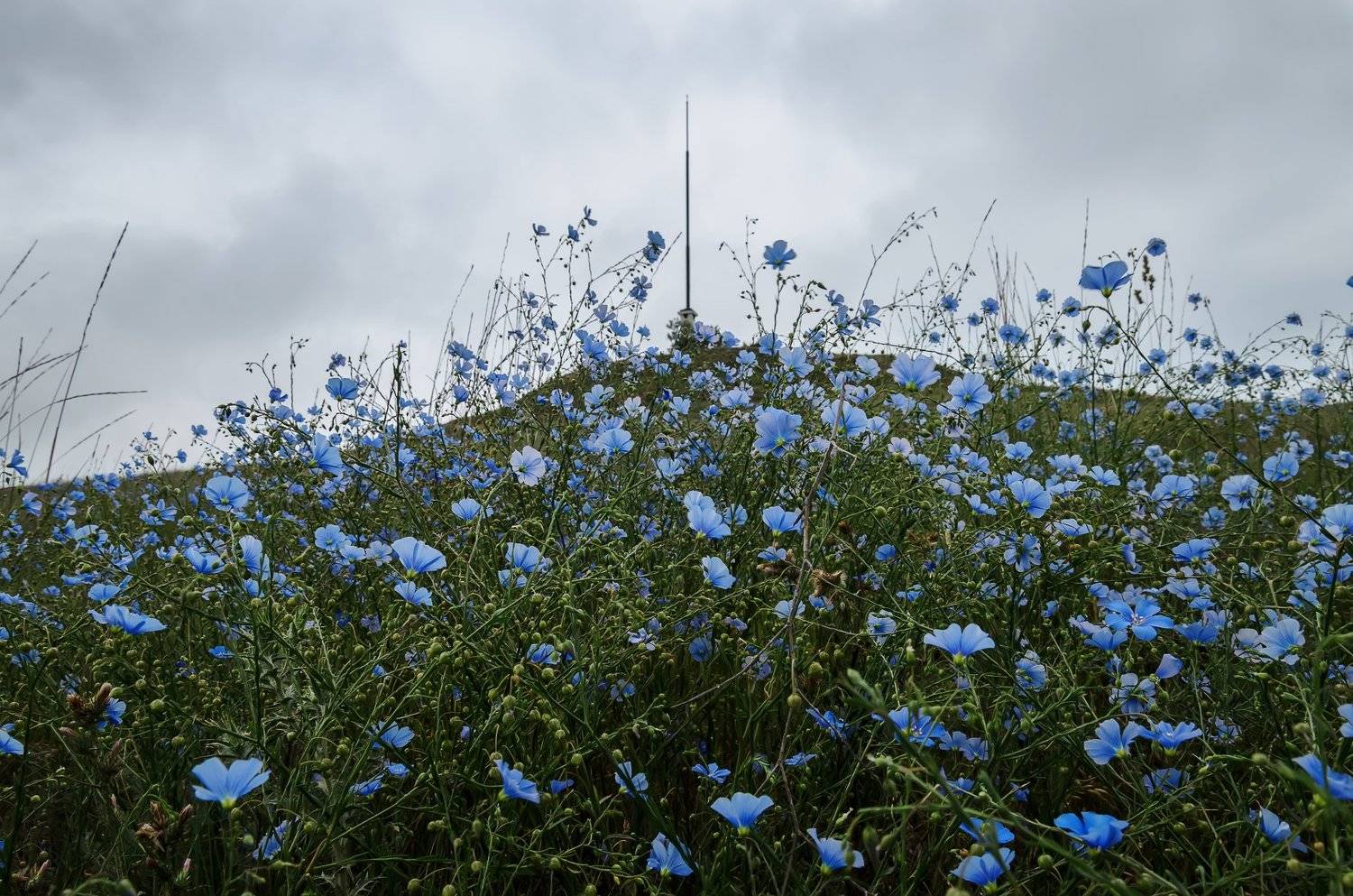 , Анатолий Щербак