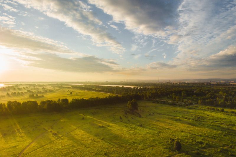 История одного утра фото превью