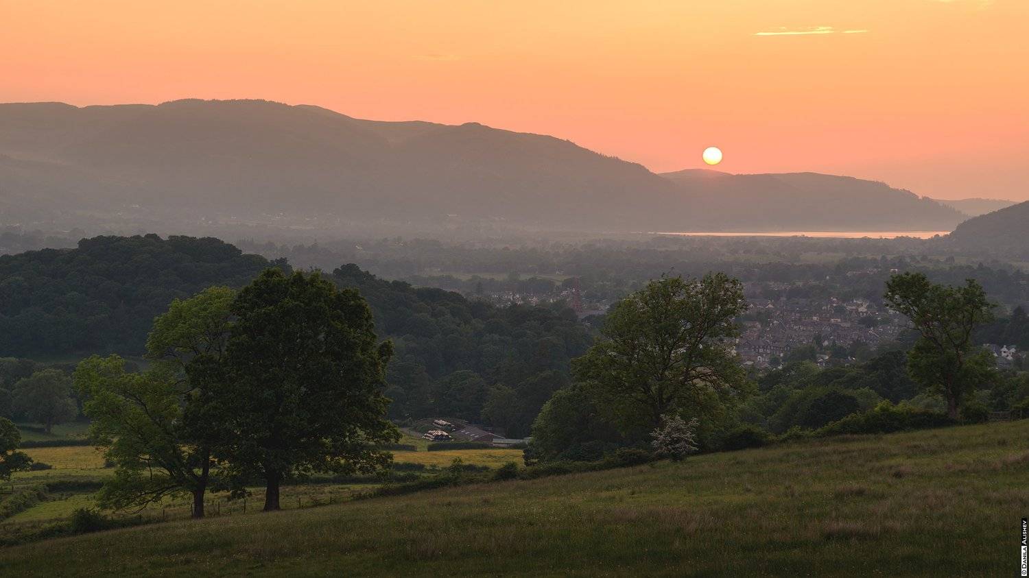 , Данила Алишев