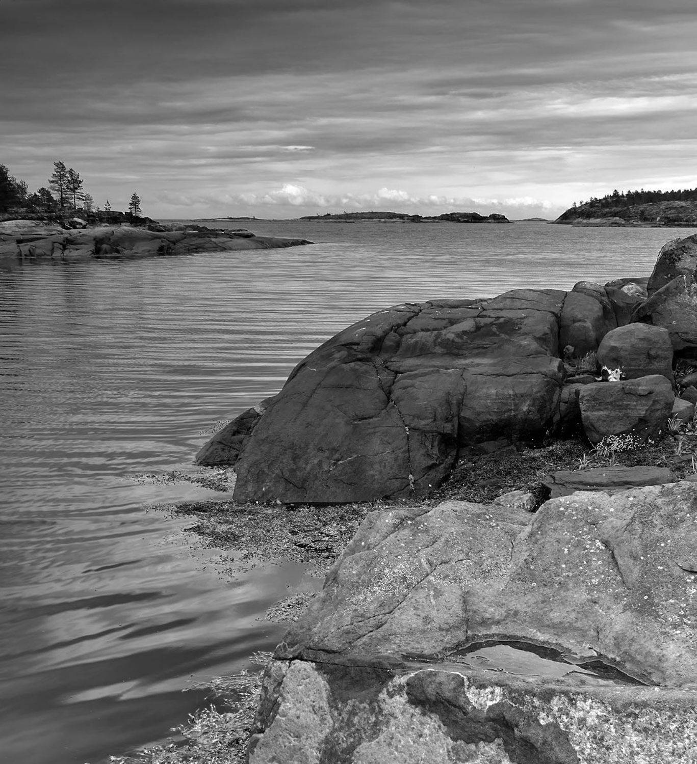 , Дима Лялин