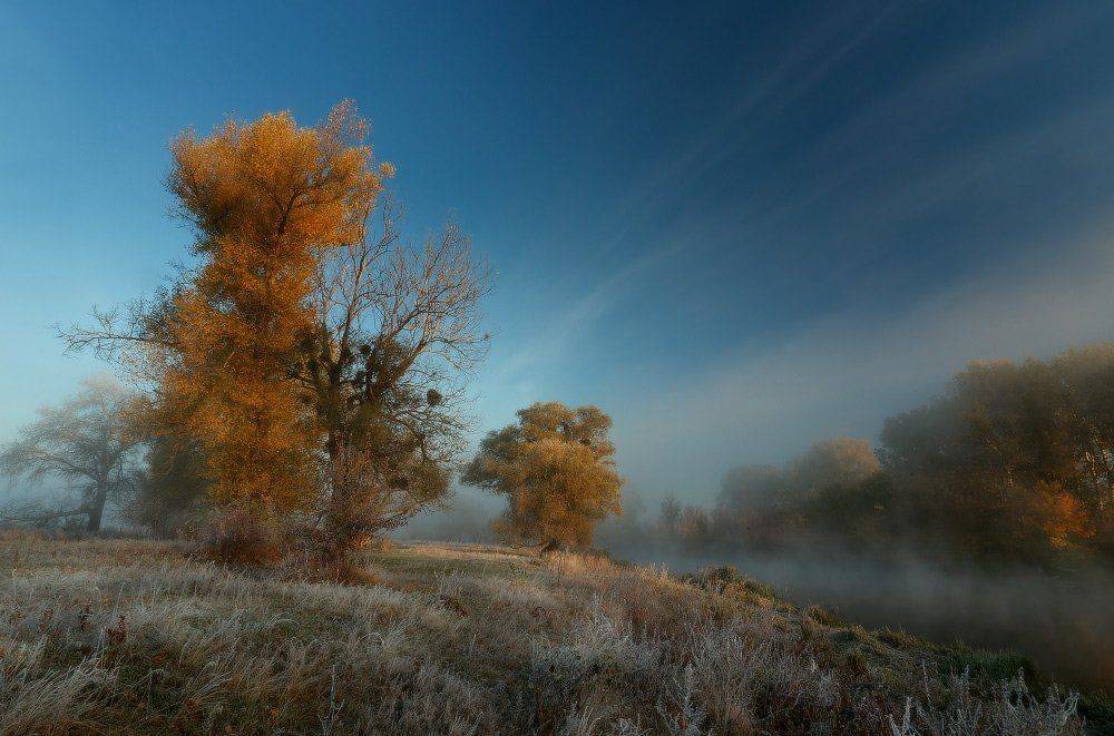 , Петриченко Валерий