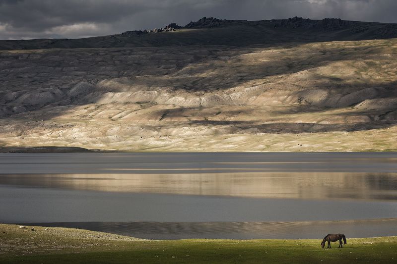 Горы, Монголия, Озеро, Пейзаж, Природа На озере Хотон-Нуур фото превью