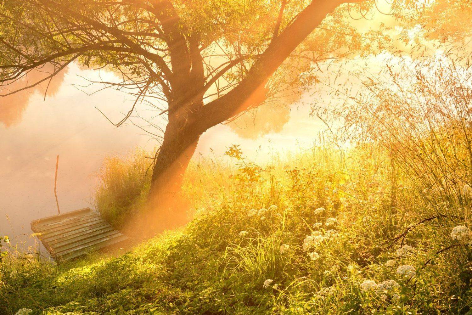 , Максим Евдокимов ( www.wildphotorus.ru )