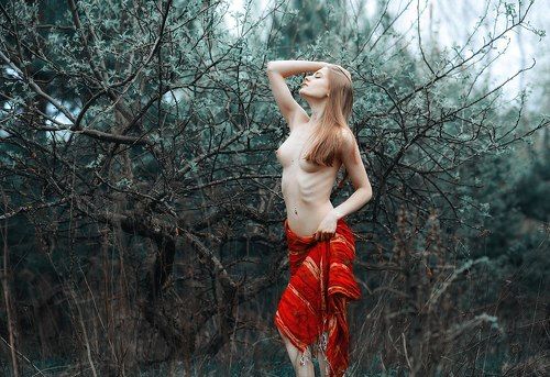Елена