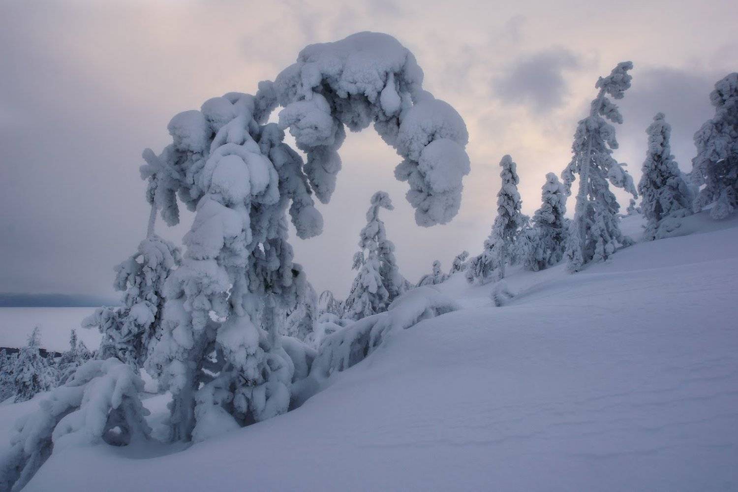 Заполярье, Кандалакша, Кольский полуостров, Евгений Ляпунов