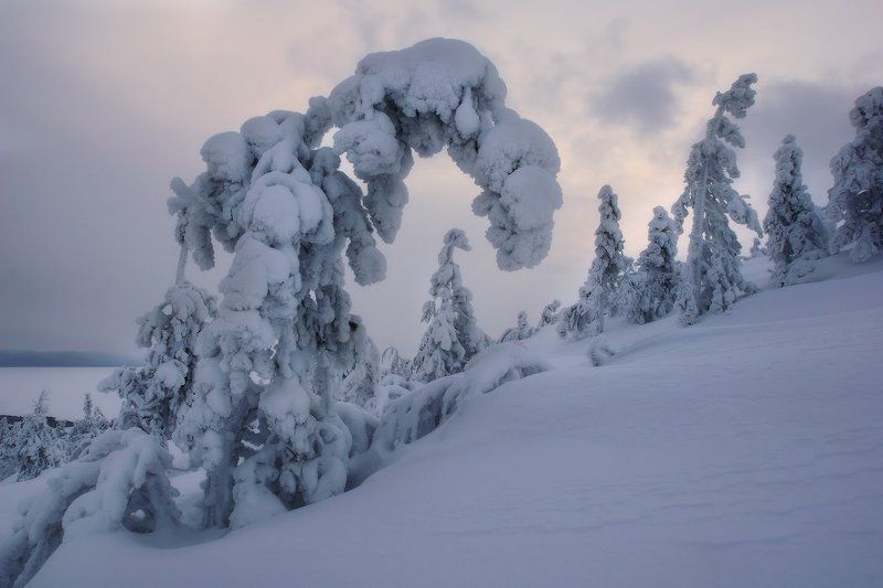 Заполярье, Кандалакша, Кольский полуостров Шествие призраков фото превью
