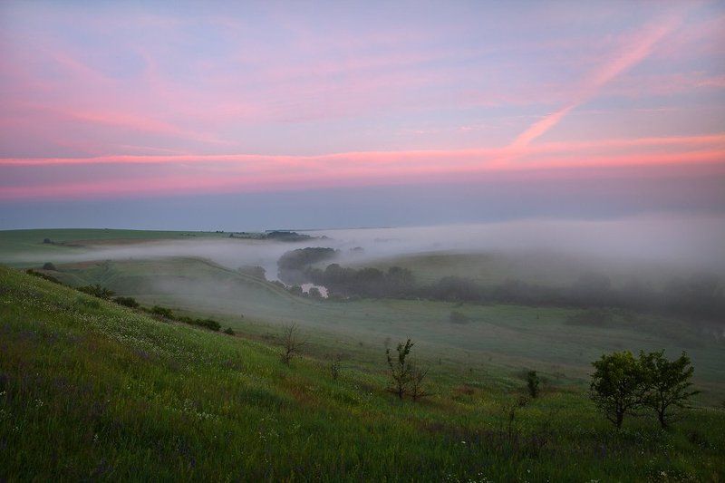 Красивая Меча июньским утром. фото превью