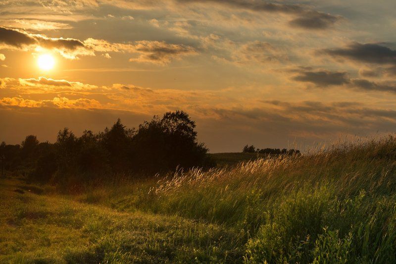 пейзаж, закат, солнце, поле, россия, золото Вечер, Тверская область фото превью