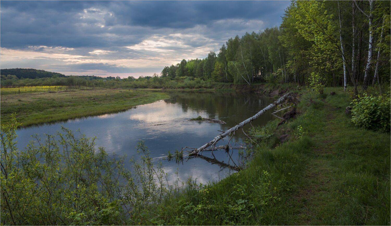 , Николай Шахманцир