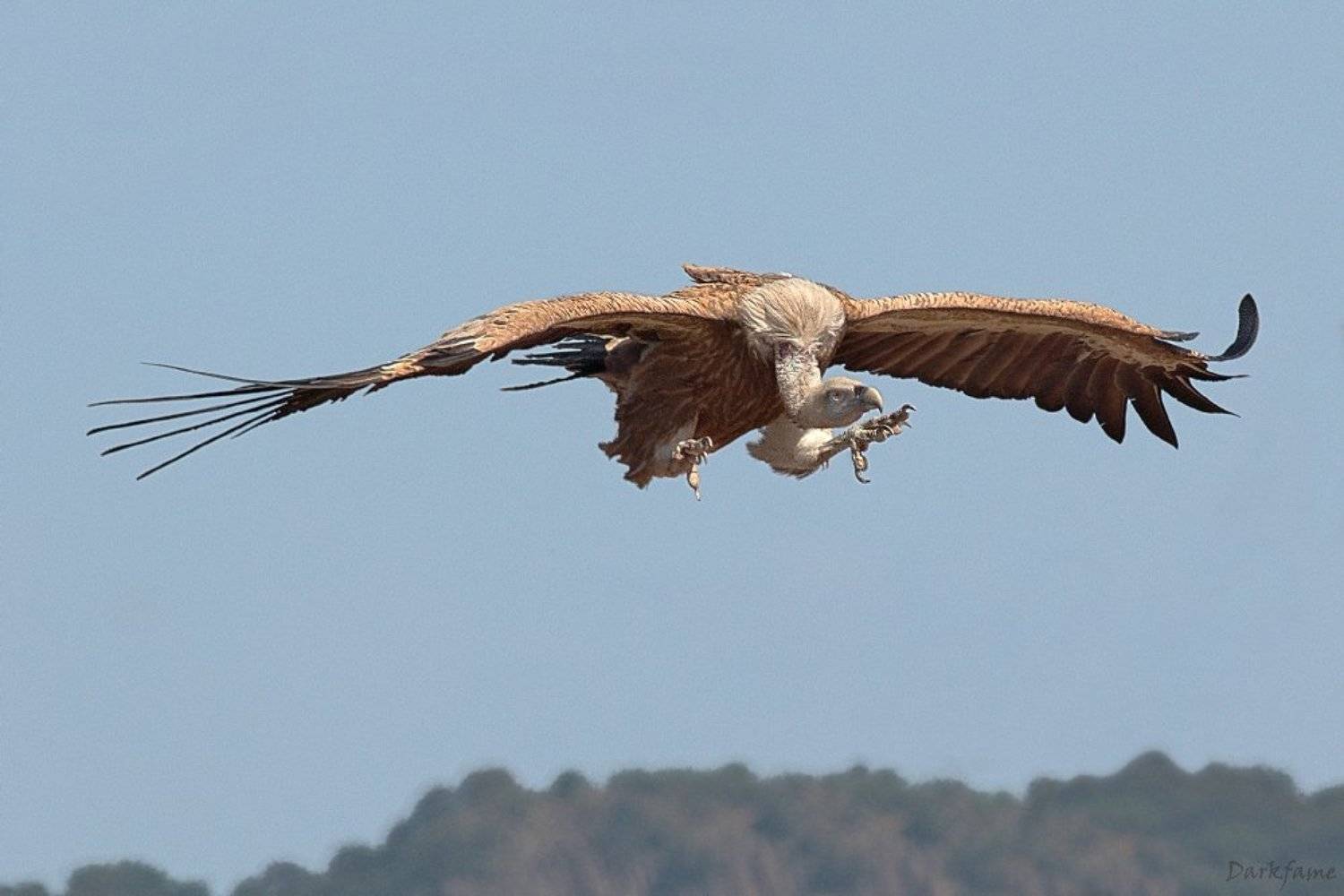 , Георги Славов