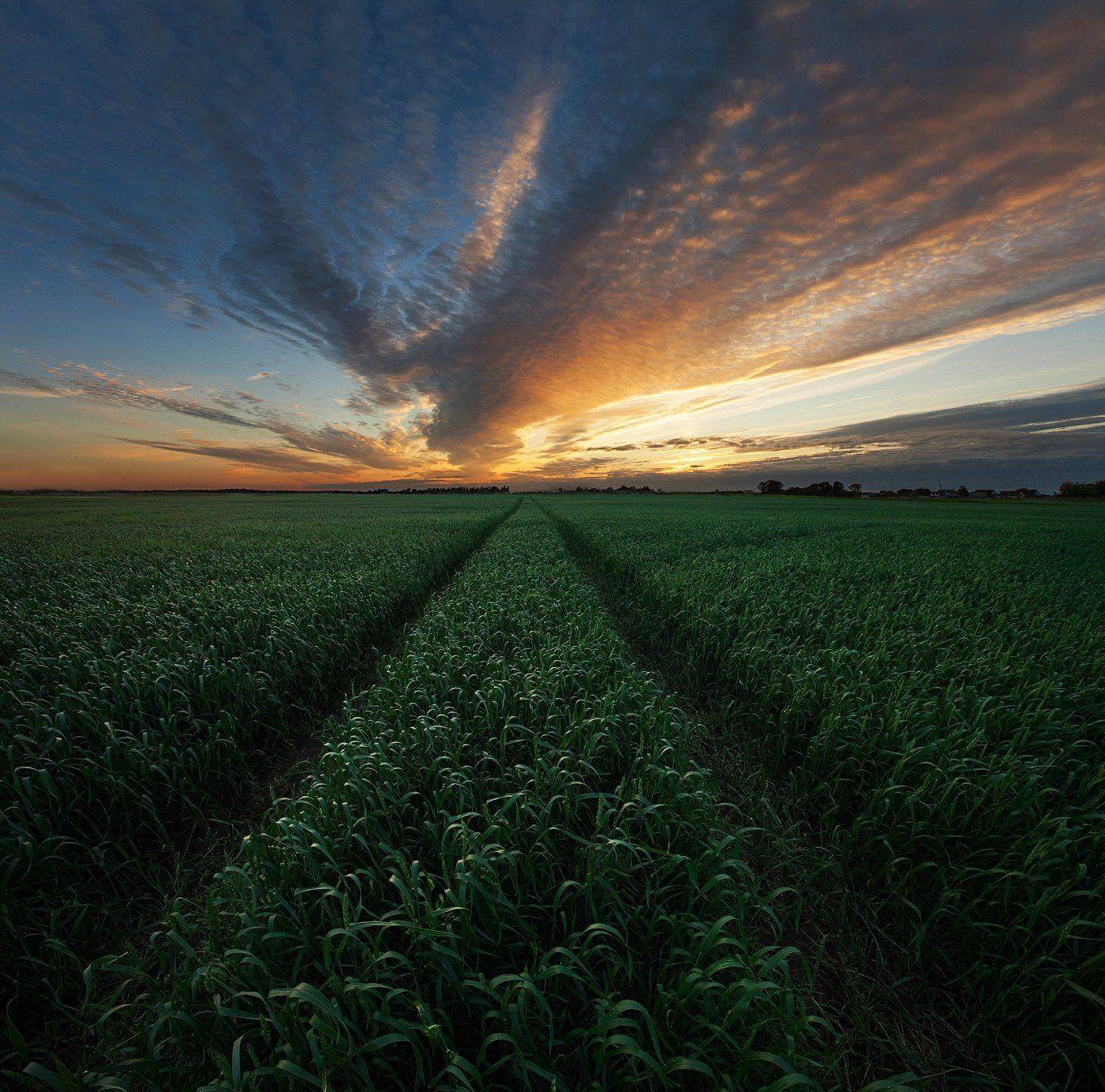 Дорога, Лето, Пейзаж, Путь, Эстония, Kljuchenkow Aleksandr