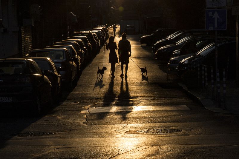Love Story фото превью