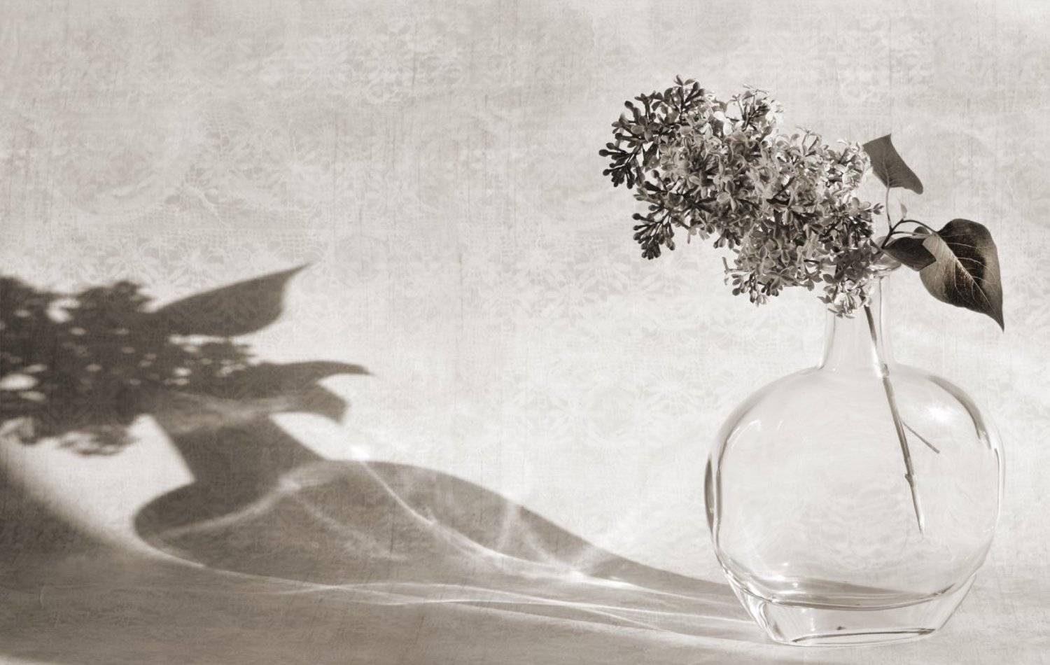 натюрморт, цветы, сирень, Прозорова Наталья