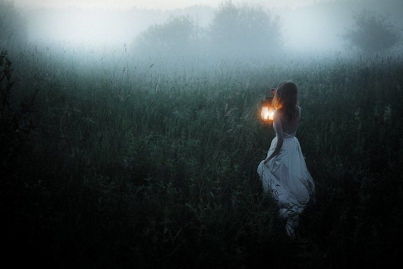 Fog фото превью