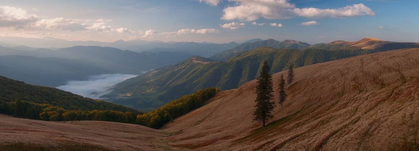 , Ярослав Тюрменко (Jaremi)