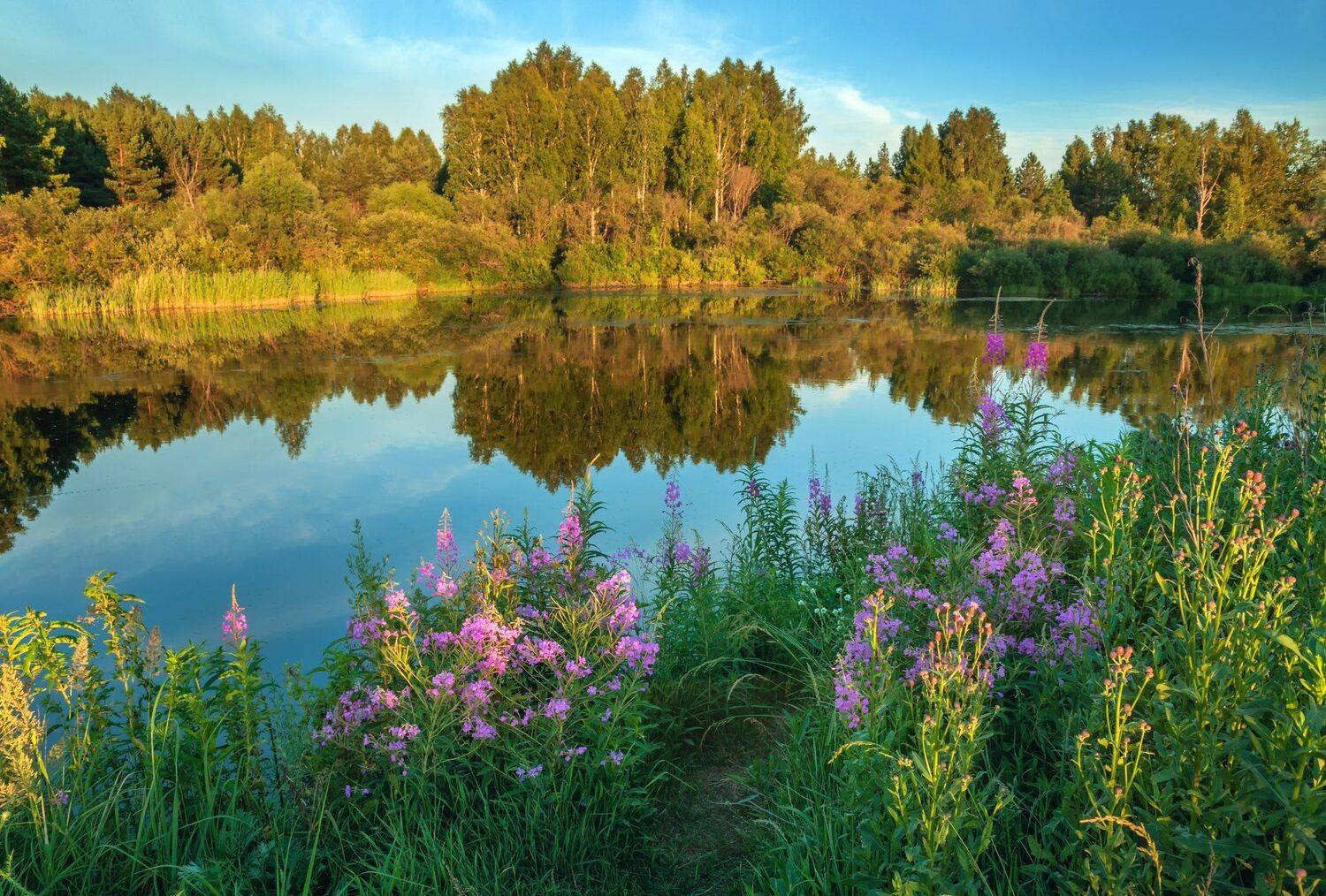 , Олег Богданов