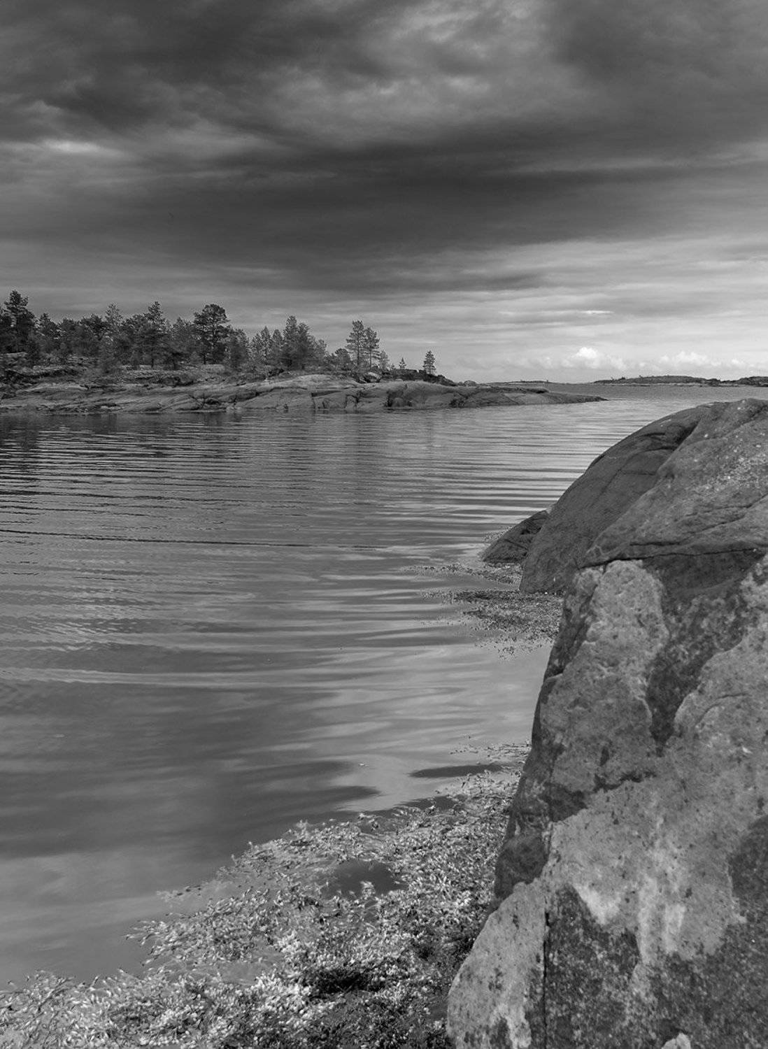 , Дима Лялин