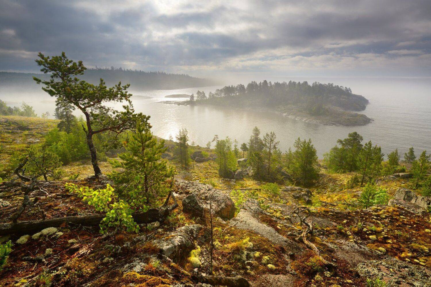 , Максим Евдокимов ( www.wildphotorus.ru )