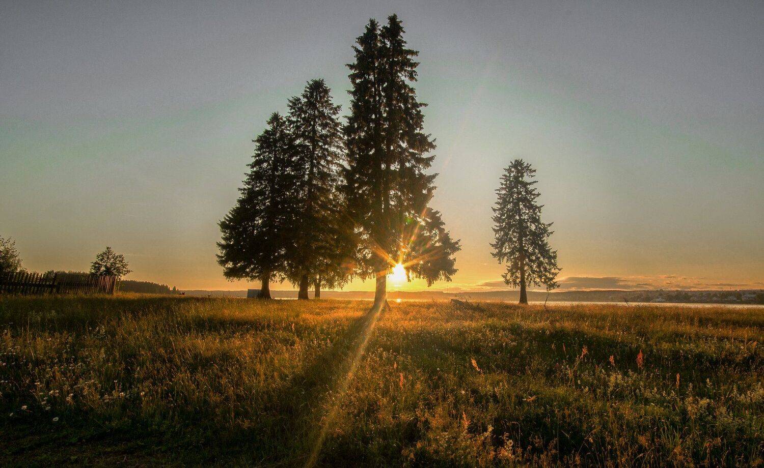 утро,солнце,природа, Карепанов Евгений