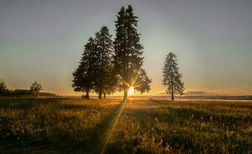 Доброе утро