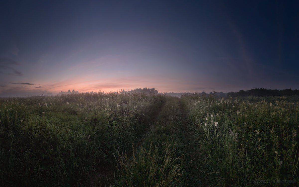 , Хохряков Николай