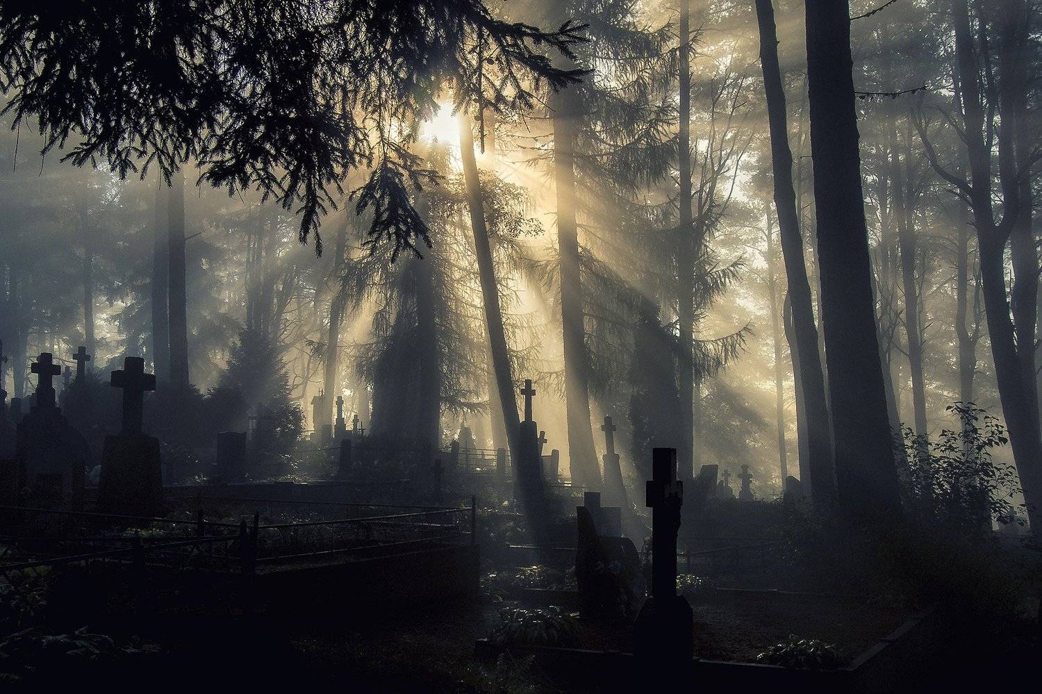 , Rimantas Bikulcius