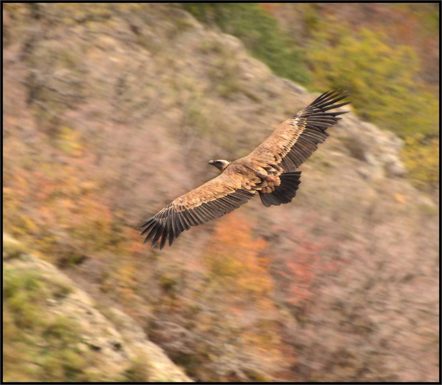 , Владимир Метцгер